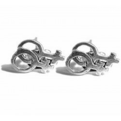 Pendientes para mujer lesbiana con acabado en plata