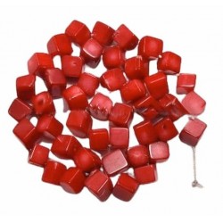 Hilo de coral de 6X5 mm