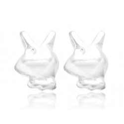 Pendientes bañados en plata...