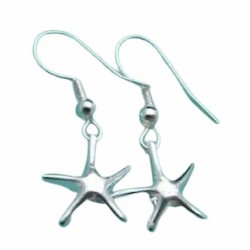 Pendientes plateados con...