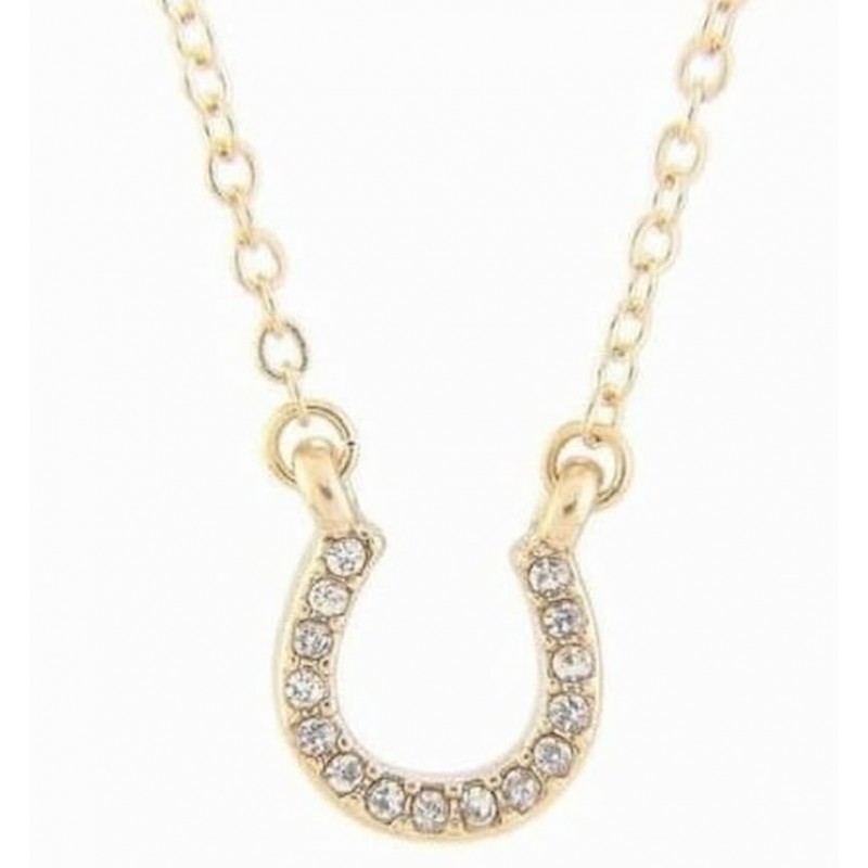 Collar de acero de la buena suerte diseñado con herradura y cristales blancos