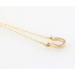 Collar de acero de la buena suerte diseñado con herradura y cristales blancos