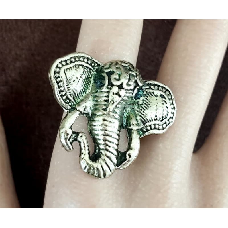 Anillo ajustable de acero