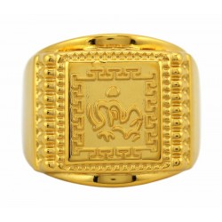 Anillo para hombres de acero chapado en gold filled 14k