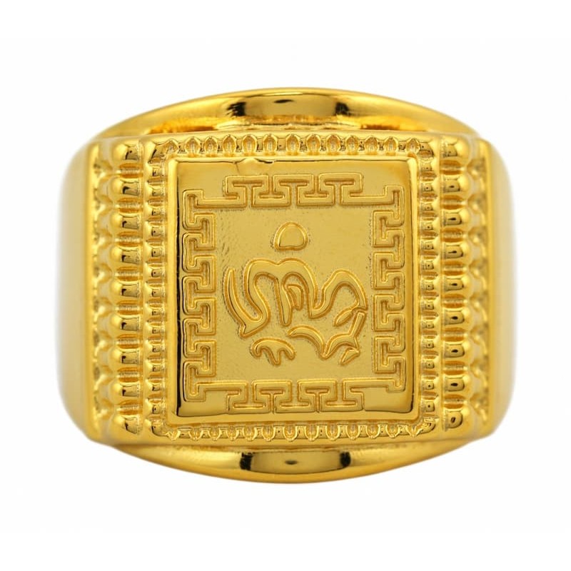 Anillo para hombres de acero chapado en gold filled 14k